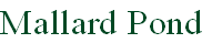 Mallard Pond